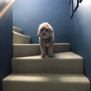 Meet your Posher, Jack